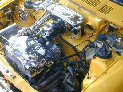 some plating from baja CA_1784012876.jpg