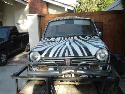 zebra1.jpg