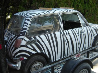 zebra3.jpg
