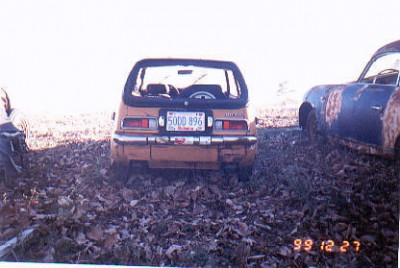 In the weeds_1891878164.jpg