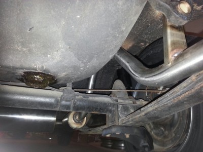 1972 Honda Z600 Blue 41.jpeg